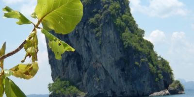 Pkrabi