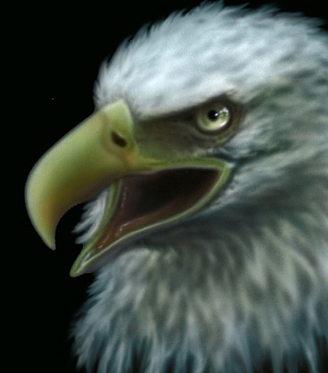 Eagle 0